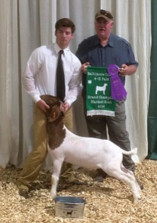 Meat Goat Champion at the County Fair